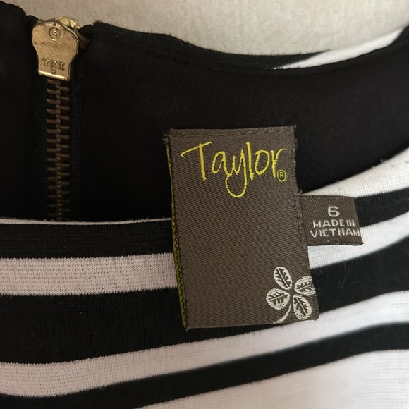 Taylor Fit and Flare stripes and floral dress - Picture 3 of 3